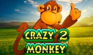 Crazy Monkey 2